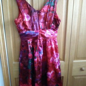 NWT Banana Republic Red Silk Floral Sleeveless Dress  Size 8